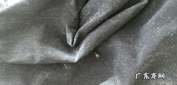 大衣上的毛毛怎么去掉,黑色羊毛大衣粘毛怎么处理