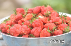 草莓储存温度是多少,草莓一般可以存放几天