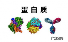 锌指结构属于蛋白质的几级结构,锌指结构属于蛋白质的