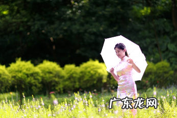 风姿绰约怎么读,风姿绰约是什么意思