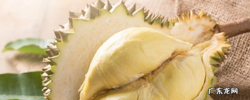 榴莲壳长白毛什么原因 榴莲壳外长了白色毛毛