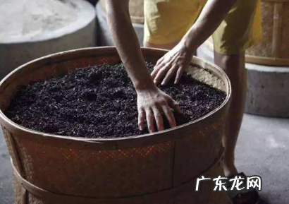 炒高茶的做法窍门,铁观音的品种及分类