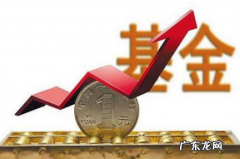 基金暂停买入暂停卖出意味着什么,支付宝基金暂停买入暂停卖出什么意思
