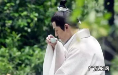 小飞流结局 原来是这样,琅琊榜结局飞流把茶递给梅长苏了