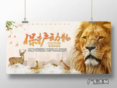 爱护动物的宣传标牌,爱护动物的宣传标牌简笔画
