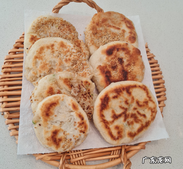河北省河间市特色美食,河间驴肉火烧哪里最正宗