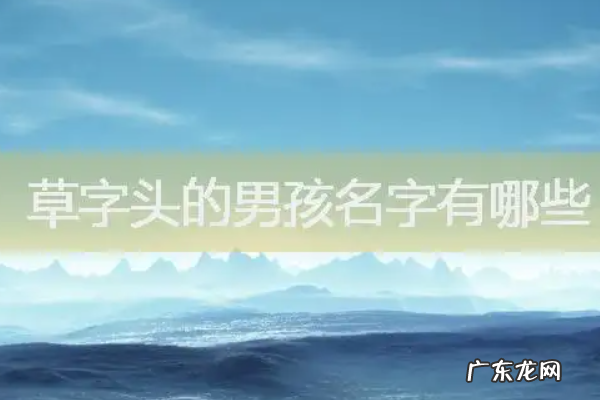 草字头的名字,带草字头的名字男孩