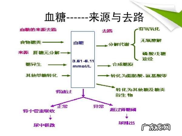 糖尿病的由来,糖尿病根源在于脾还是肝
