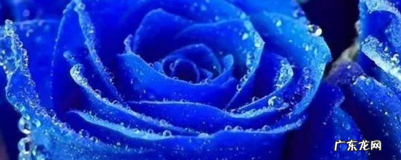 蓝色有几种 蓝色有几种颜色和叫法