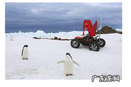 根据企鹅发明了什么,从企鹅身上发明了什么