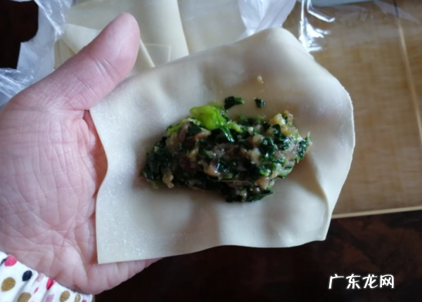 混沌的包法 详细的步骤方法,怎样包馄饨慢动作