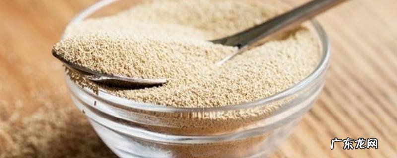 玉米自发粉是什么 发粉是什么