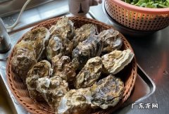 生蚝蒸几分钟 这里有介绍,清蒸生蚝需要几分钟能蒸熟