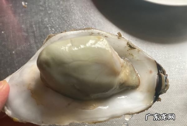 生蚝蒸几分钟 这里有介绍,清蒸生蚝需要几分钟能蒸熟