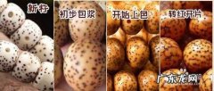 星月菩提代表什么意思,什么是星月菩提