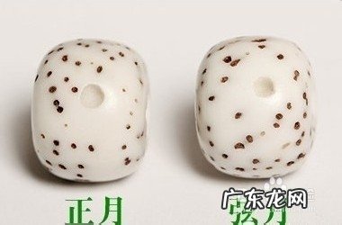 星月菩提代表什么意思,什么是星月菩提