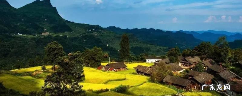 庸城县碗米溪村在哪里 庸城县碗米溪村是哪个省