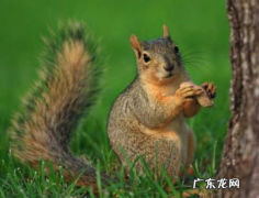 保护生物多样性宣传语,有关保护生物多样性的宣传语