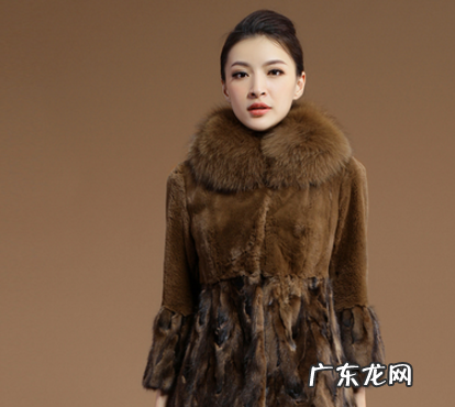 貂怎么清洗保养,貂皮如何清洗和保养