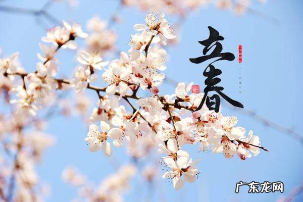 立春后还会打霜,南方立春后可以种什么菜