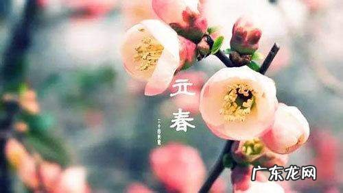 立春后还会打霜,南方立春后可以种什么菜