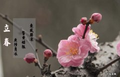立春后还会打霜,南方立春后可以种什么菜