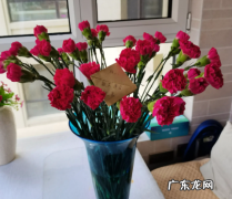 关于祝福康复的句子,祝身体早日康复的句子