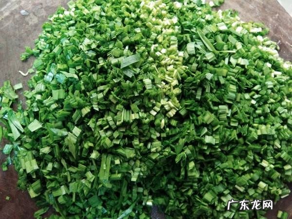 韭菜馅儿饺子怎么拌馅,韭菜馅饺子怎么调馅