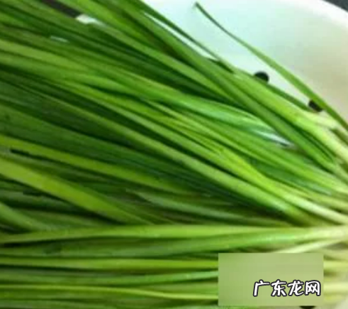 韭菜馅儿饺子怎么拌馅,韭菜馅饺子怎么调馅