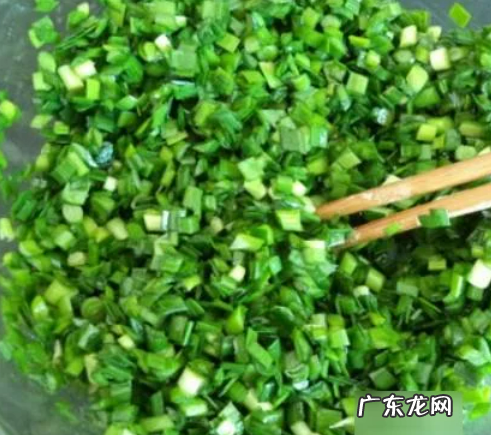 韭菜馅儿饺子怎么拌馅,韭菜馅饺子怎么调馅