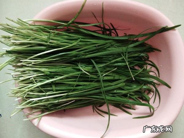 韭菜馅儿饺子怎么拌馅,韭菜馅饺子怎么调馅