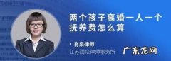 离婚怀孕期间有抚养费,怀孕离婚需要抚养费