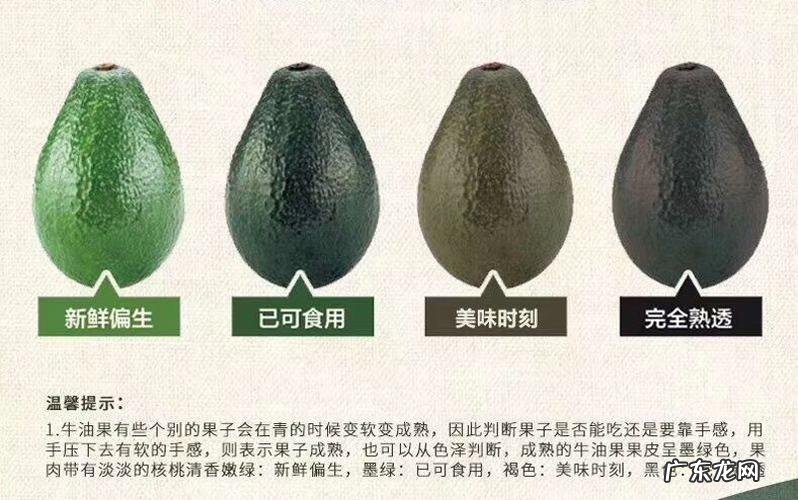 牛油果催熟的方法,牛油果快速催熟及保存的正确方法