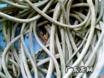 腌酸豆角做法 其实步骤很简单,酸豆角的做法家常腌法教程