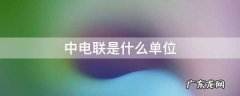 中电联是什么单位,中电联是什么性质单位