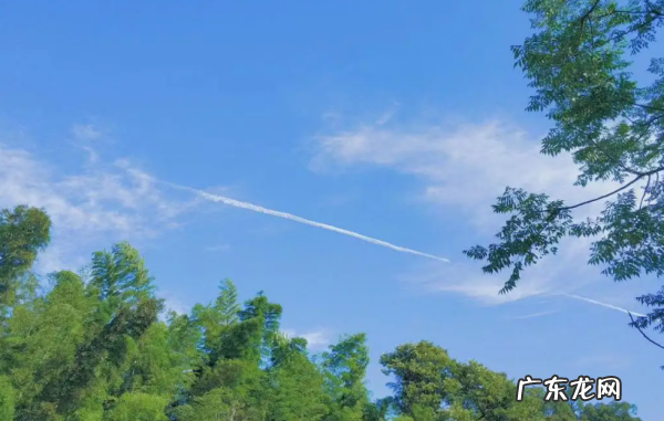 夏天的天气是怎么样,中国夏季气温特点是什么中国夏季气温有什么特点