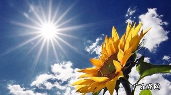 夏天的天气是怎么样,中国夏季气温特点是什么中国夏季气温有什么特点