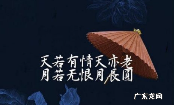 0句含有诗意的句子大全,有诗意的句子