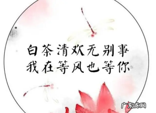 0句含有诗意的句子大全,有诗意的句子
