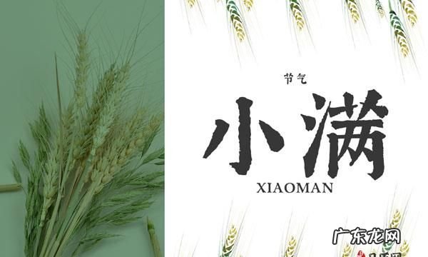 小满是什么意思,小满是什么意思
