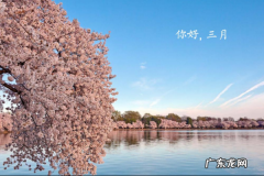 阳春三月美好的说说句子,阳春三月的优美句子短小