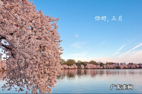 阳春三月美好的说说句子,阳春三月的优美句子短小