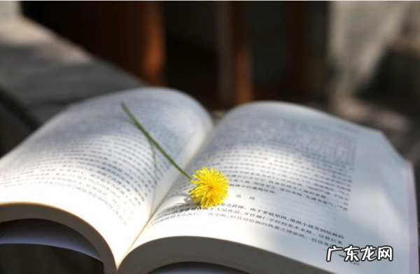 读书名言书签简单漂亮,读书名言书签