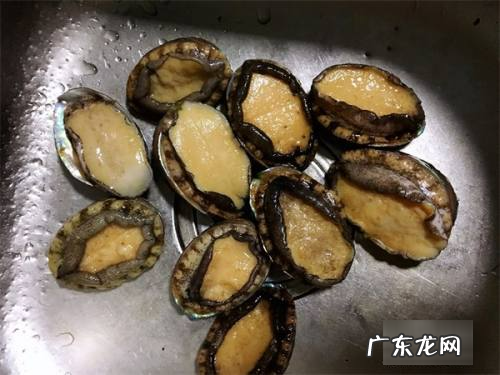 鲍鱼的清洗方法,鲍鱼的清理方法及做法