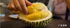榴莲分类图 榴莲分类