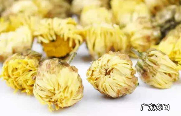 如何鉴别胎菊里面有硫磺,怎样判断胎菊是否发霉