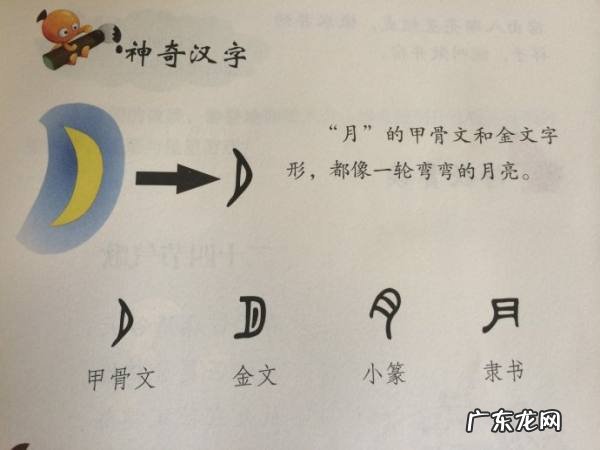 月的由来故事,册字的由来是什么