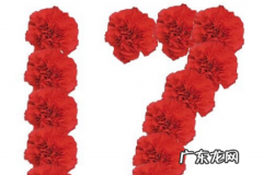 7数字代表什么意思,十七是什么意思