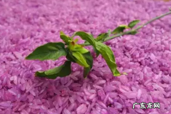 布依族花米饭的由来,五色糯米饭的材料是什么