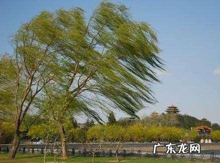 冬天的风为什么叫朔风,冬风为什么叫做朔风